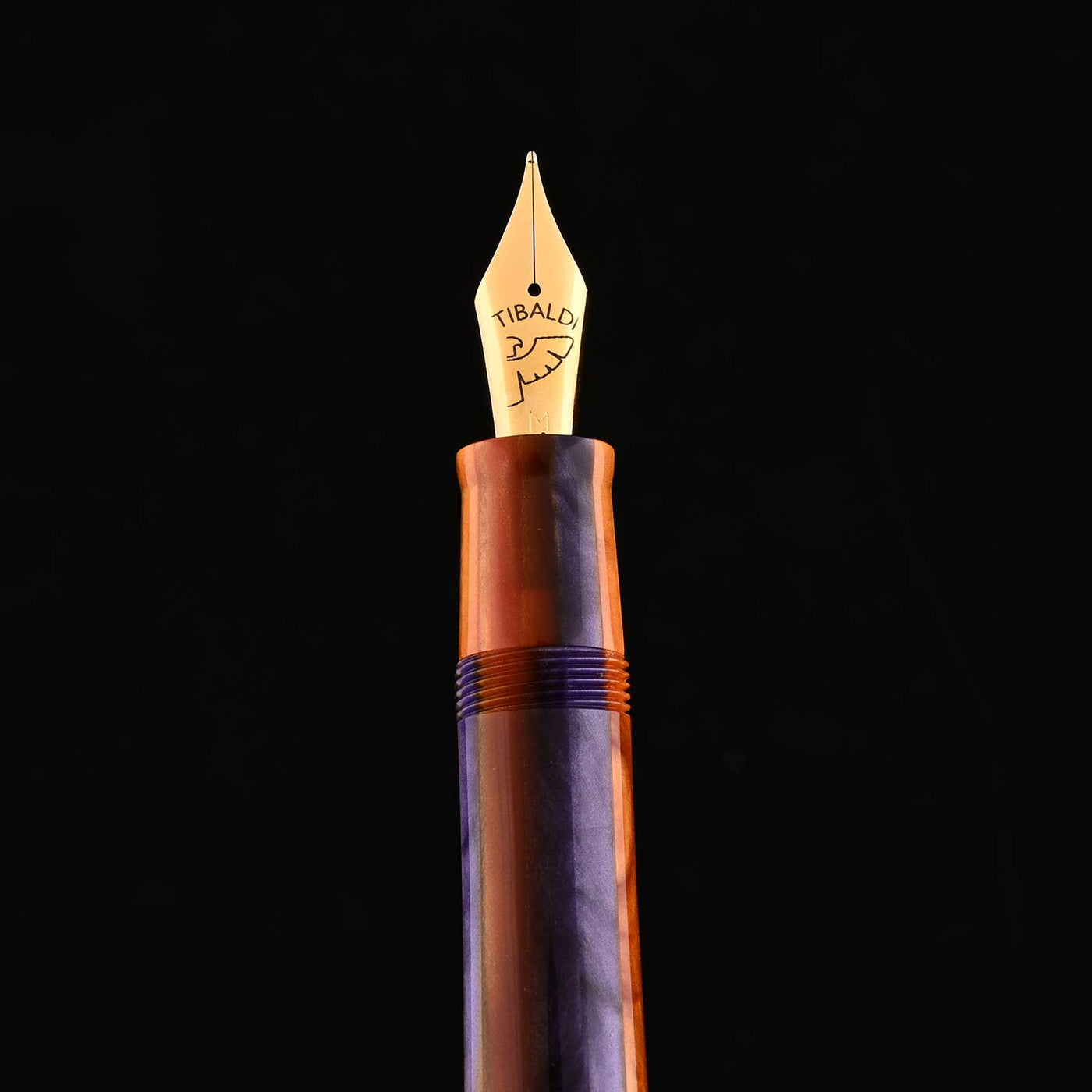 Tibaldi Bononia Fountain Pen - Seilan Purple GT 8