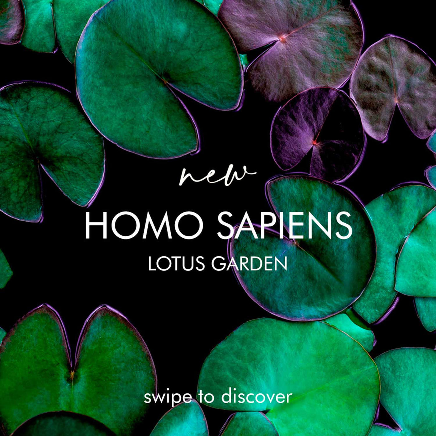 Visconti Homo Sapiens Fountain Pen - Lotus Garden (Limited Edition) 8